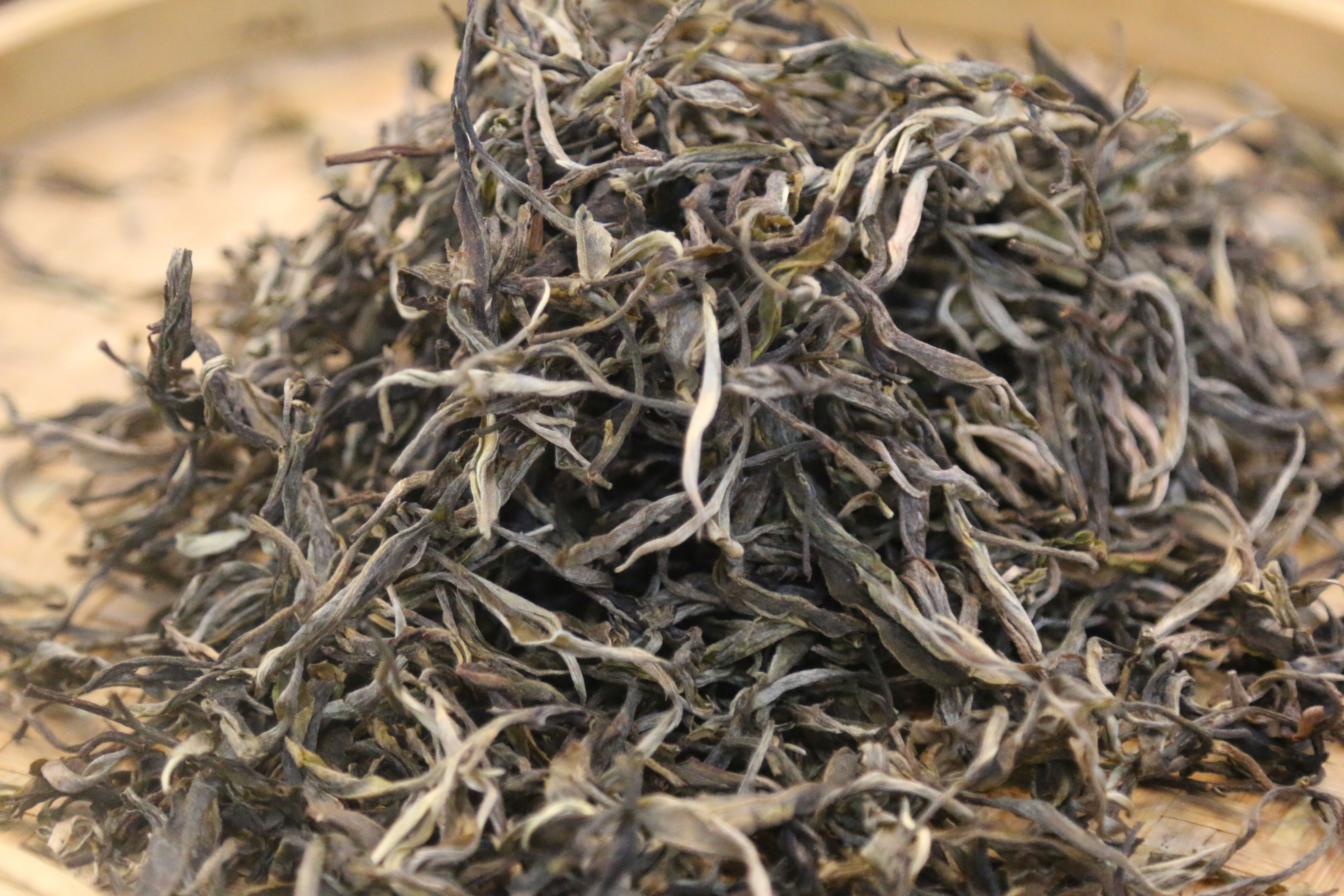 伍洲茶纪 普洱茶小龙珠的静物独白